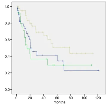 Table 2 Univariate and multivariate analyses of surgical patients’ survival rates (n = 75)