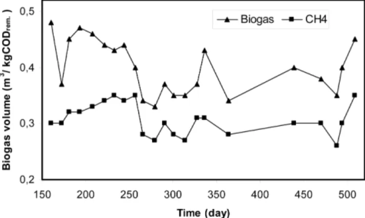 Figure 3. Biogas production at the UASB reactor.