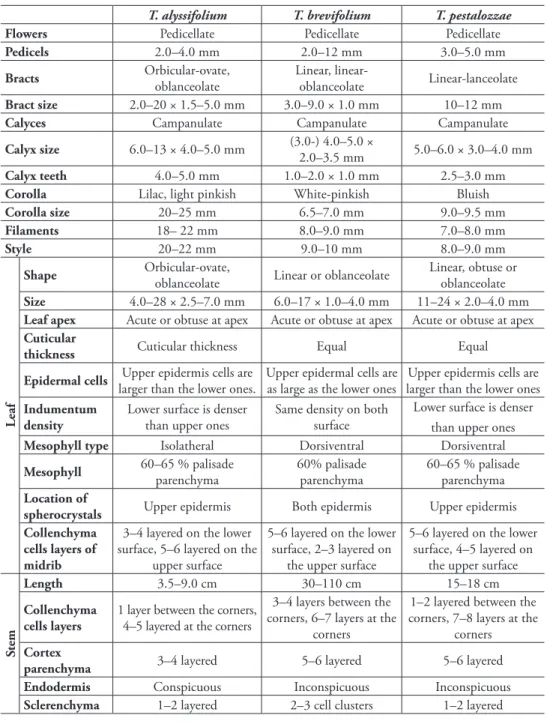 Table 2. Morphological and anatomical comparison of studied taxa.