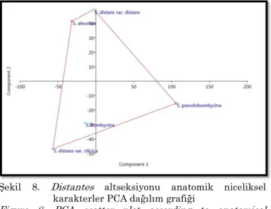 Figure  7.  Correlation  analysis  according  to  anatomical  quantitative characters of taxa 