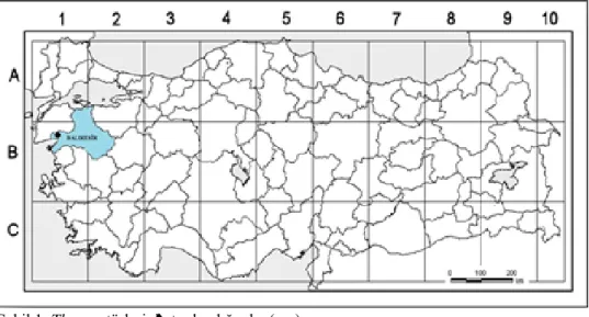 Şekil 1. Thymus türlerinin toplandığı alan(     )                Figure 1. Field gathered of Thymus species