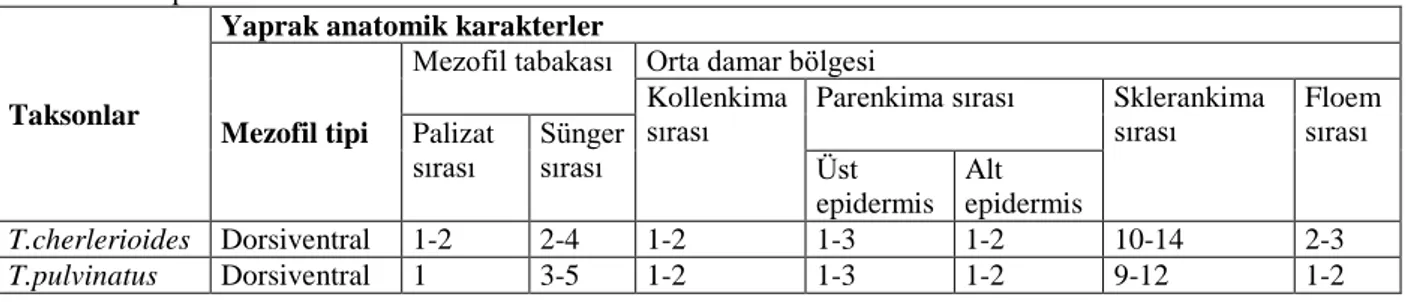 Tablo 2. İncelenentaksonlarının karşılaştırmalı yaprak anatomik karakterleri  Table 2