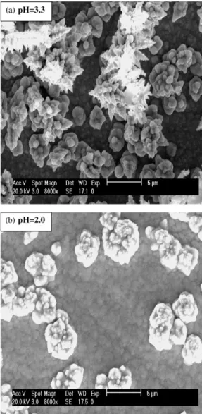Fig. 2. SEM micrographs for the Ni–Cu films electrodeposited (a) at high pH 3.3 and (b) at low pH 2.0.