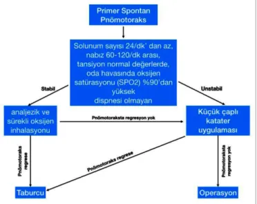 Figure 1: Primary spontaneous pneumothorax treatment algorithm. 
