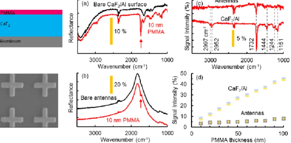 Fig 1. Experimental comparison of the CaF 2 /Al surface to the plasmonic antenna-array, for IR spectroscopy