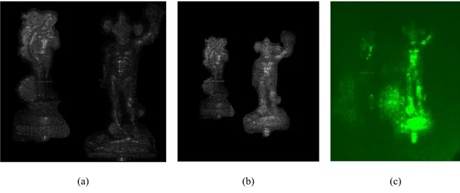 Figure 4. Numerical (a, b) and optical (c) reconstructions of the synthetic holograms obtained by combining, coherently, the digital  holograms of Perseus and Venus