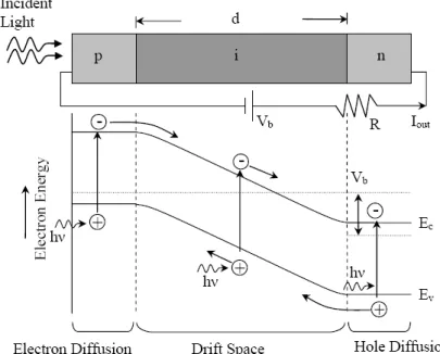 Figure 3.2: A p-i-n photodiode under reverse bias and illumination (After Ref. [16]).