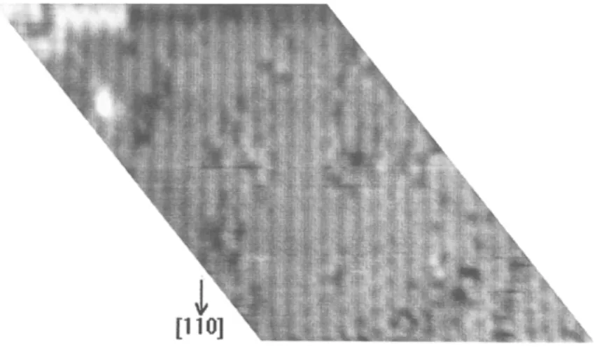 Fig.  1.  STM  image of Si(001)(2  X  1) surface. The  sample voltage and tunneling current are  -  2  V  and  1 nA,  respectively