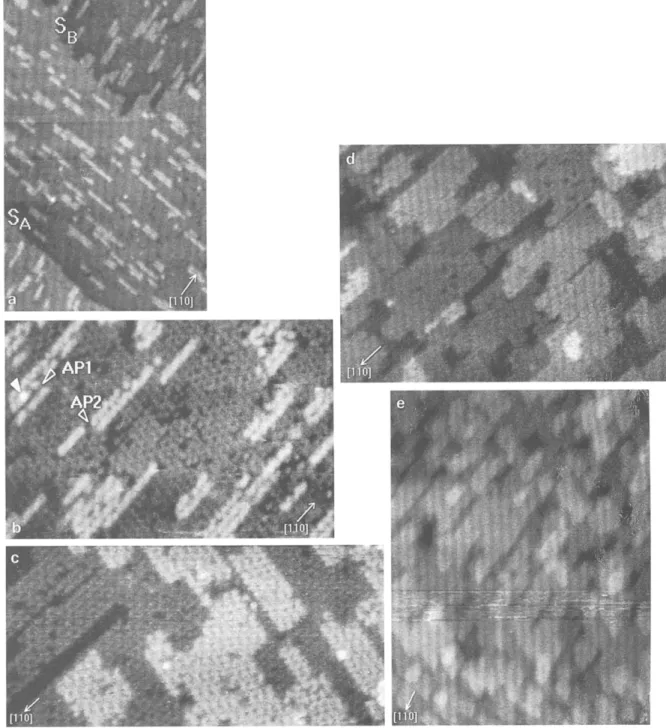 Fig.  2.  Epitaxial  growth  of  5i0.36Ge0.64  on  Si(001)  at  T s =  310°C  observed  by  STM