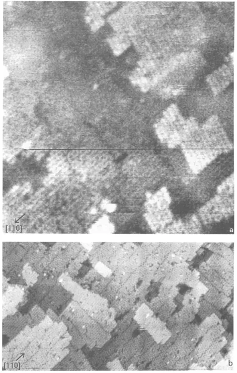 Fig.  3.  Growth  of  5i0.36Ge0.64  on  Si(001)  at  /~  =  390°C  observed  by  STM.  Film  thicknesses:  (a)  0.5,  and  (b)  3.5  ML