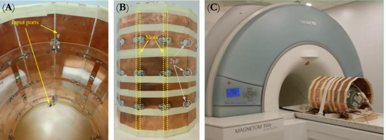 FIGURE 2.3 – Experimental setups. (A) A 2×4-channel degenerate birdcage head TxArray  coil that was  designed and constructed using the proposed method