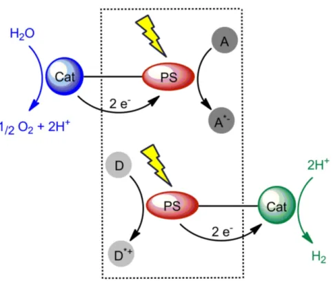 Figure 1.7: Schematic representation of homogeneous multielectron photocatal- photocatal-ysis for light-driven water splitting.[6] Abbreviations used are as follows: PS is photosensitizer, Cat is catalyst, D is donor and A is acceptor.