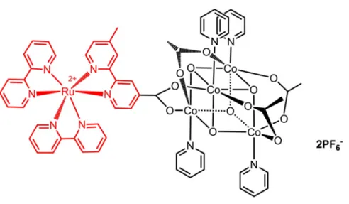 Figure 1.10: Structure of ruthenium chromophore-cobalt cubane assembly.[21] PS unit of the assembly is demonstrated as red in the structure.