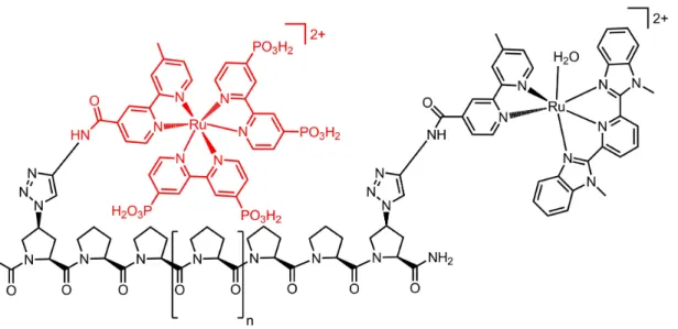 Figure 1.11: Structure of the PS-WOC metallopeptide.[23] PS unit of the assem- assem-bly is demonstrated as red in the structure.