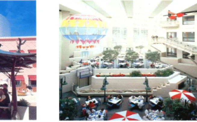 Figure 3.6 Courtyard, Doernbecker’s                  Figure 3.7 Living plants in shared areas,   Children’s St
