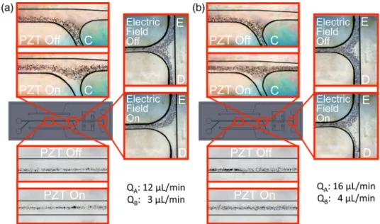 FIG. 10. Particle trajectories: (a) case-3 and (b) case-4.