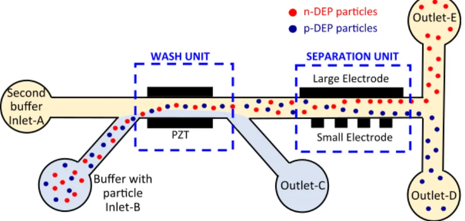 Fig. 1 shows the schematic of the device presented in this work. PZT (Lead Zirconate Titanate) transducers and two metal electrodes are utilized for ACP and DEP, respectively