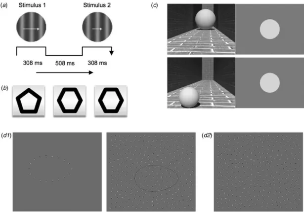 Fig. 1. Paradigms and stimuli that are included in the visual task battery. (a) Schematic description of velocity discrimination task