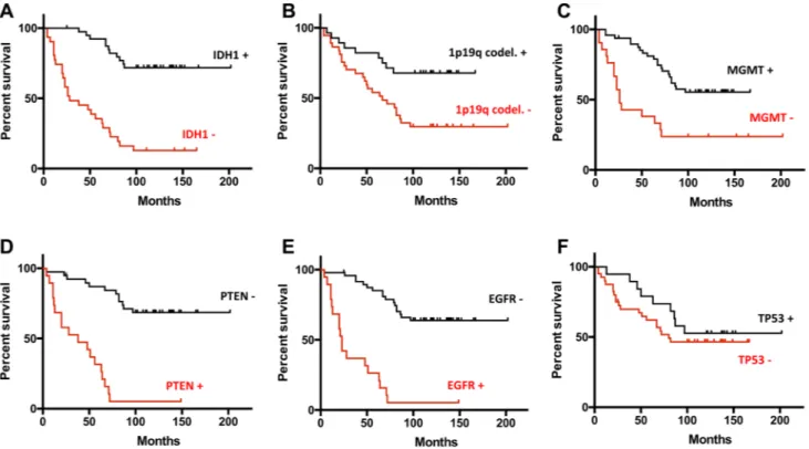 Fig. 3    Comparison of the survival rates between groups of patients  with different status of genomics markers (a vIDH1, b 1p19q, c  MGMT, d PTEN, e EGFR, f TP53) measured in the tumor tissues