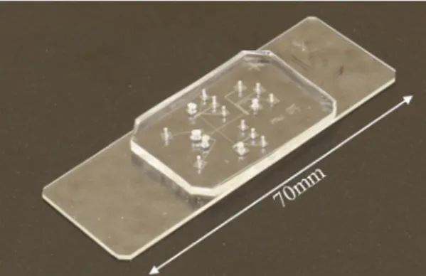 Figure 5.  Final product of the flow cytometry microchip.
