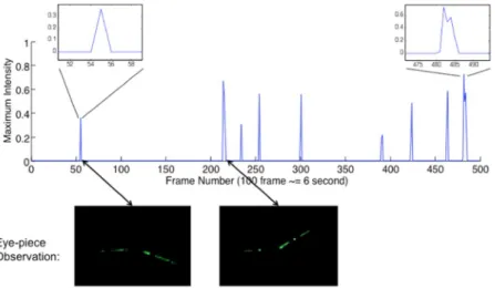 Table 2.  Result of Fluorescent Particle Sorting Simulation.
