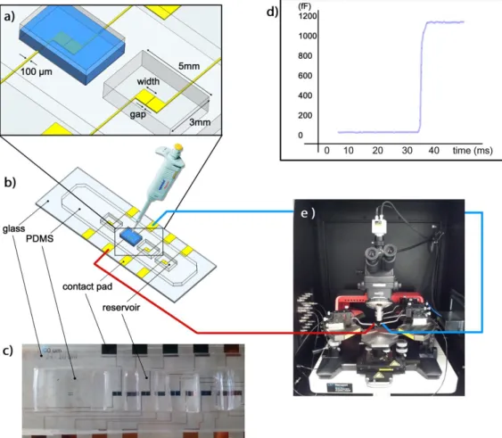 Figure  4.8.  Capacitance  measurement  system  for  verification  purposes:  (a)  Close-up  view  of  the  electrodes  and  the  reservoirs