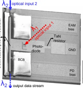 Fig. 4. SEM picture of a fabricated photodiode-modulator switch. 