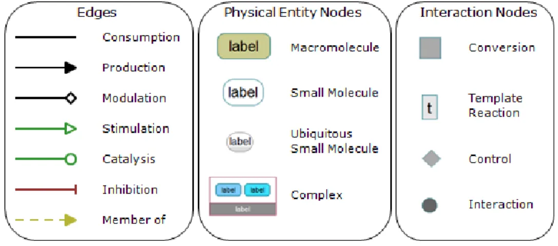 Figure 2.2: Different glyphs supported by ChiBE to represent different biological entities and relationships [35]