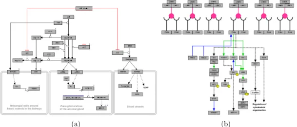 Figure 2.4: Sample pathways obtained with PathVisio