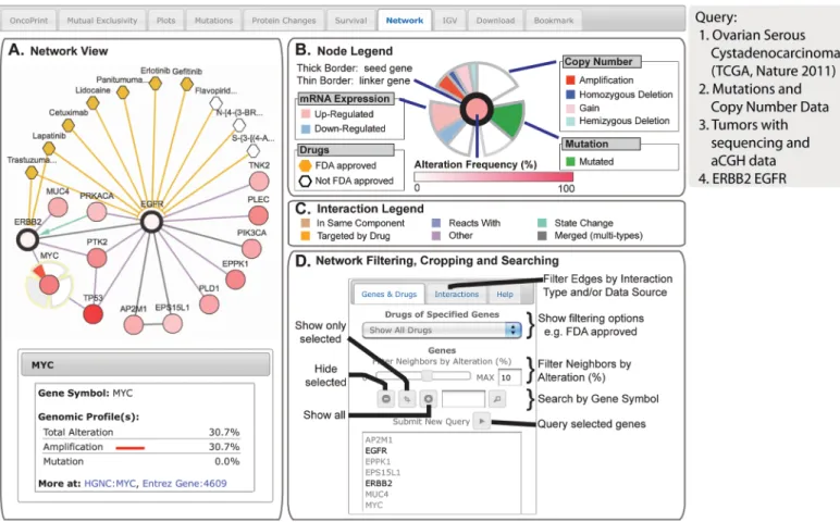Fig. 8. The network tab. The example shows network analysis of  EGFR networks in serous ovarian cancer. (a) Network view of the  EGFR and ERBB2 neighborhood in serous ovarian cancer (TCGA  data set) rendered with Cytoscape Web (34). The query genes, EGFR  