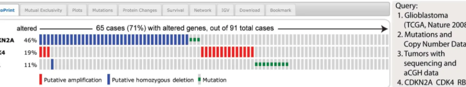 Fig. 2. The OncoPrint tab. The example shows a visual summary  of the different mechanisms of RB pathway alteration across a set of  glioblastoma samples based on a query of the three genes CDKN2A,   CDK4, and RB1. The OncoPrint tab summarizes genomic alte