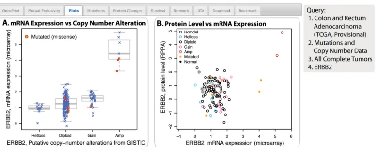 Fig. 4. The Plots tab. The example shows ERBB2 mRNA expres- The example shows ERBB2 mRNA expres- sion is increased in samples with DNA amplification, and ERBB2 pro-tein abundance is higher in samples with increased mRNA. (a) A plot  showing the relationshi
