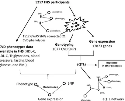 Figure 1. Flowchart of integromic analysis. A total  of 1512 single nucleotide polymorphisms (SNPs)  associated with 21 cardiovascular disease (CVD)  traits (at P≤5×10 −8 ) were derived from database of  Genotypes and Phenotypes and the National Human  Gen