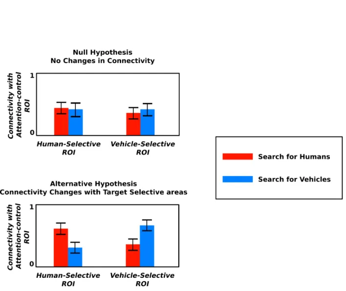 Figure 1.1: Null and alternative hypotheses. The null hypothesis suggests no attentional changes in connectivity between category-selective and attention-control ROIs, on the other hand, the alternative hypothesis suggests that attending to vehicle increas