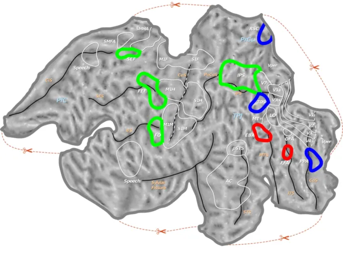 Figure 2.2: Flattened representation of the left hemisphere of the human brain showing various regions mentioned in Table 2.1