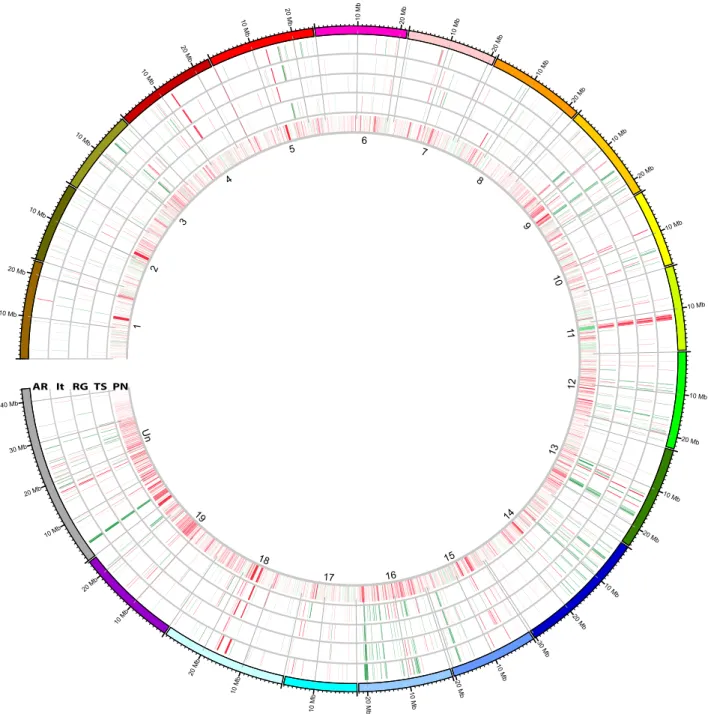 Figure 1. Circular representation of dCGH (comparative genomic hybridization) data in four varieties of grapes.