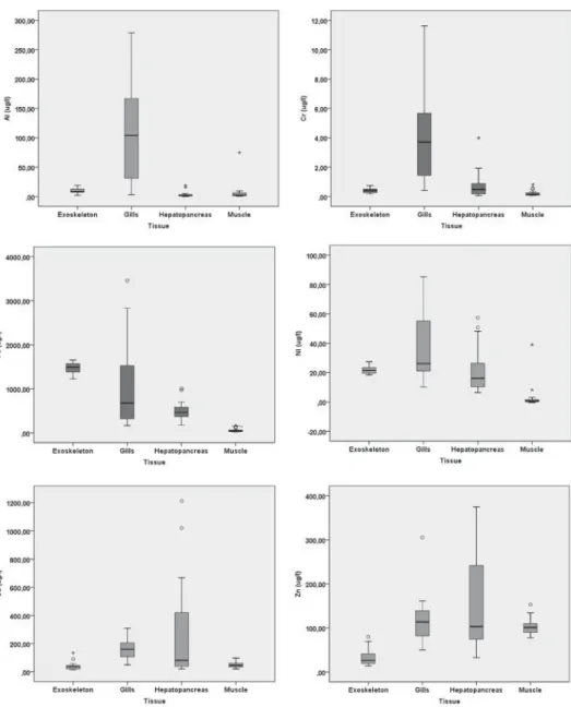 Figure 1. Boxplot comparison of metal accumulations between tissues.