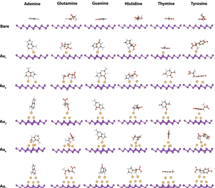 Table 1 Binding energy E b (in eV) of AA and NB molecules with Au n (n = 1–5) clusters on the b-P surface