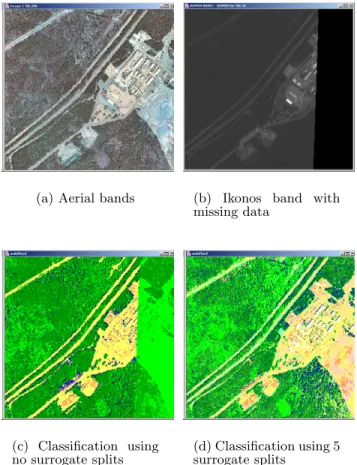 Figure 11: Classification in the presence of missing data (cont.). This scene has missing data at the bottom and left borders within the Ikonos bands as well as clouds within the Ikonos imagery