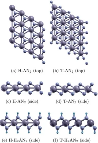 Fig. 4. Two different structural phases (H and T) of monolayer AN 2 . (e) and (f) Hydrogen terminated structures.