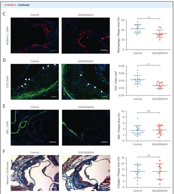 FIGURE 5 Continued Control MOMA-2 / DAPI GSK2606414 ** 030 1020 Control GSK2606414