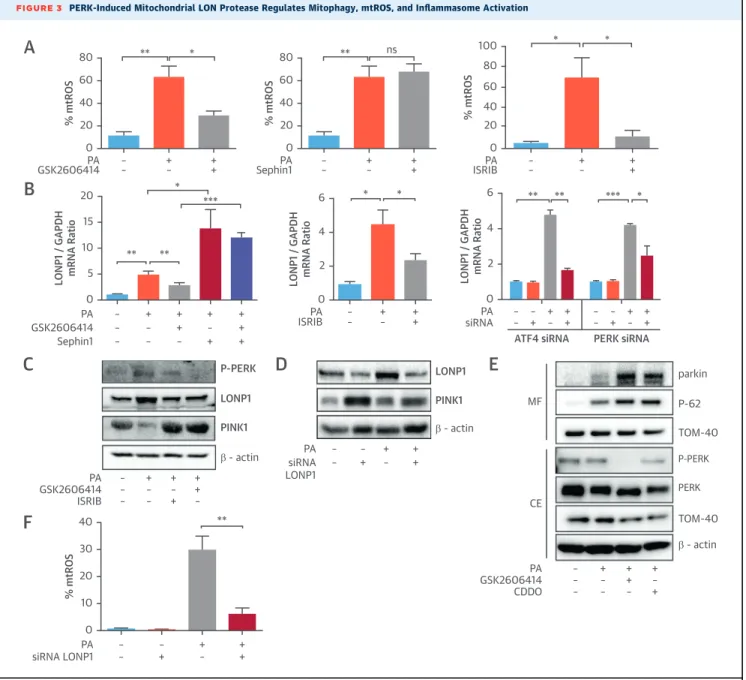 FIGURE 3 PERK-Induced Mitochondrial LON Protease Regulates Mitophagy, mtROS, and Inﬂammasome Activation 80 60 40 % mtROS 20 0 PA – – +– ++GSK2606414*** 806040% mtROS 200PA –– +– ++Sephin1**ns 100806040% mtROS200PA –– +– ++ISRIB**A 20 15 10