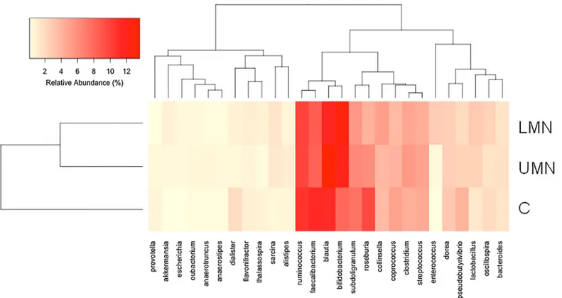 Fig 3. Hierarchical cluster analysis showing the relative percent abundance of each genus in the study groups