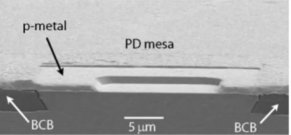 Fig. 7. SEM picture of PD mesa after mesa etching, planarization, and p- p-metal deposition.