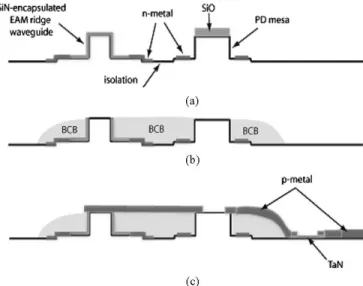 Fig. 9. SEM cross sections of (a) the planarized EAM ridge waveguide and (b) planarized PD-EAM integrated switch.