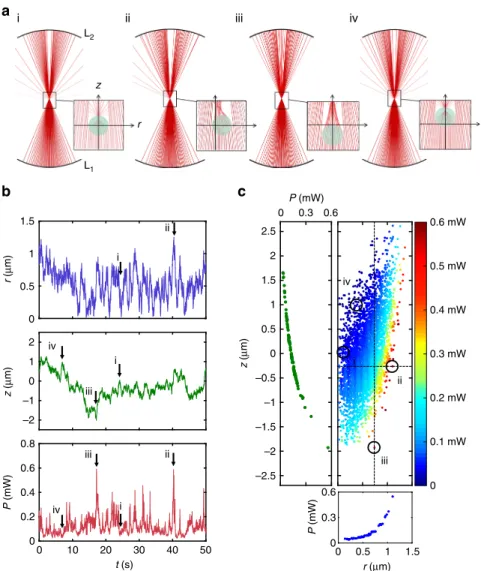 Fig. 3 Detailed simulations. a Ray-optics diagrams of the propagation of a focused beam through an optically trapped particle (i) when the particle is at the center of the trap (equilibrium position in the trap that takes into account also the effective gr