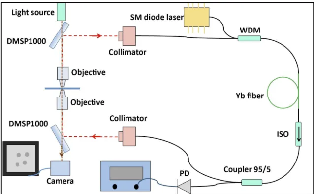 Figure 1. Schematic of the experimental setup. The red dashed line shows the propagation of light in free space