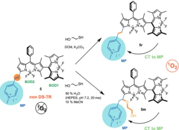 Figure 2. Conversion of compound 5 into 5r or 5m on reaction with mercaptoethanol in DCM and in aqueous buffer solutions,  respec-tively.