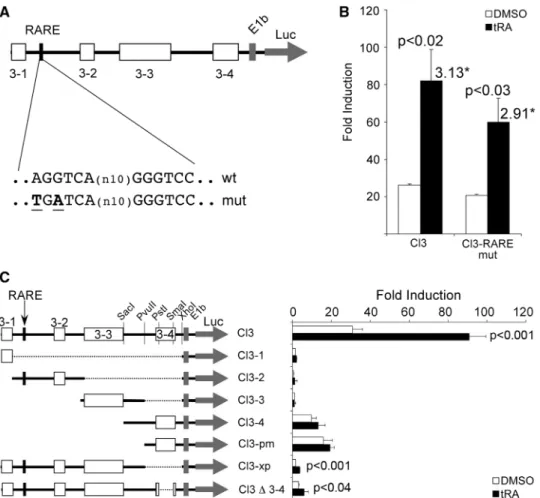 Figure 3. Stimulation of conserved cluster 3 is indirect and distinct from that in thyroid cells