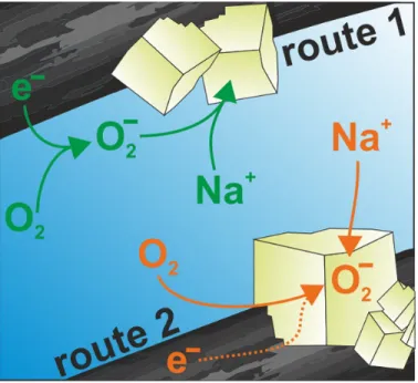 Figure 1.4: Schematic illustration of solution mediated route (route 1) and surface mediated route (route 2) for NaO 2 deposition during Na-O 2 battery discharge [23].